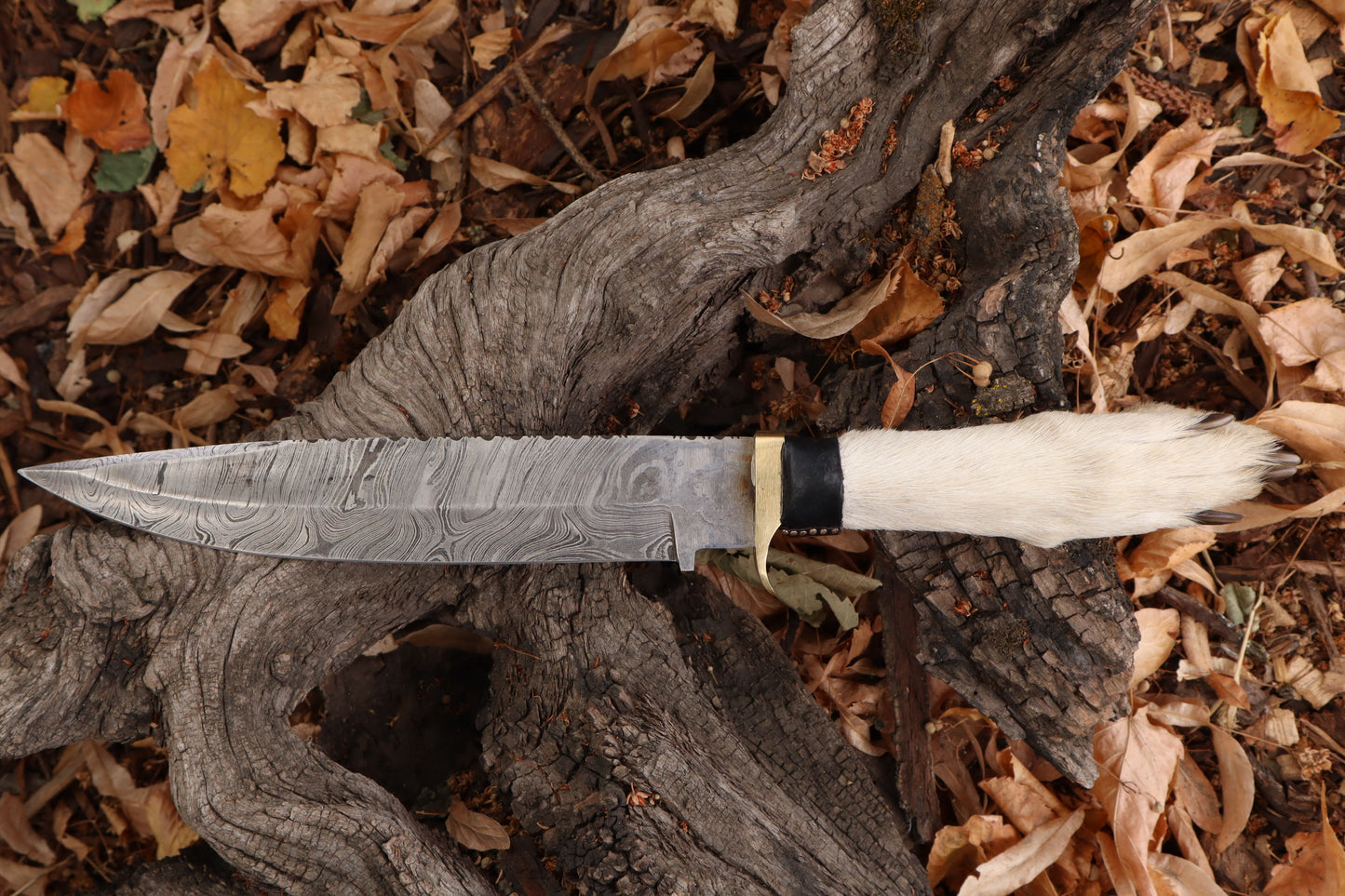 Reserved for Devyn - Damascus Gray Wolf Paw Knife with Flaming Sheath