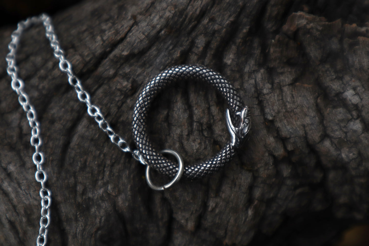 Reserved for Ashley - Two Domestic Cat Tibia Pendulum with Ouroboros Ring