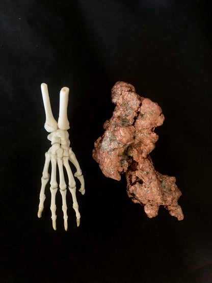 Opossum Paw Articulation with Native Copper Base