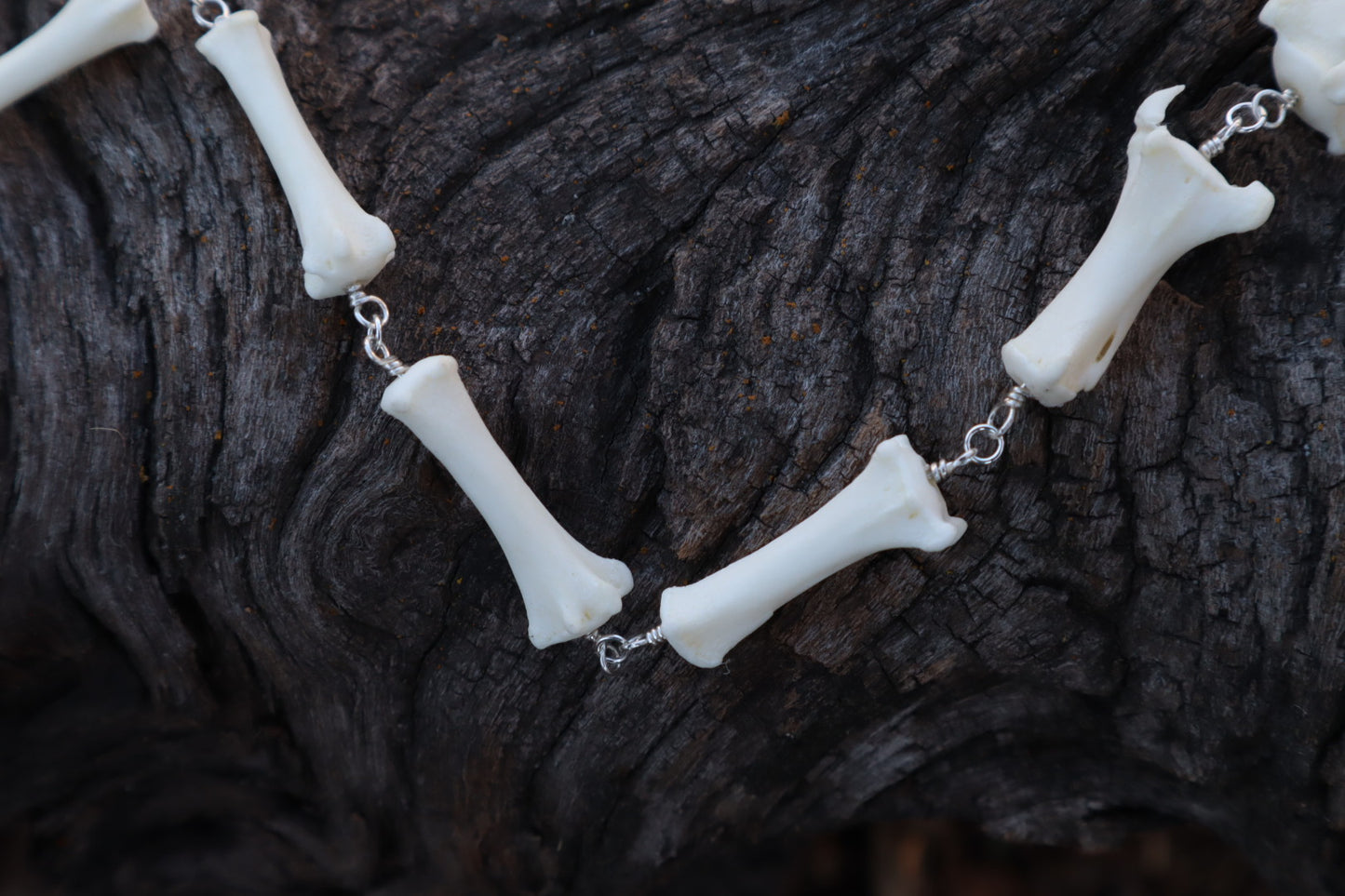 Fluid Coyote Tail Articulation with Ouroboros Ring