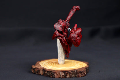Dry Preserved Red Kangaroo Joey Heart and Lungs in Glass Dome