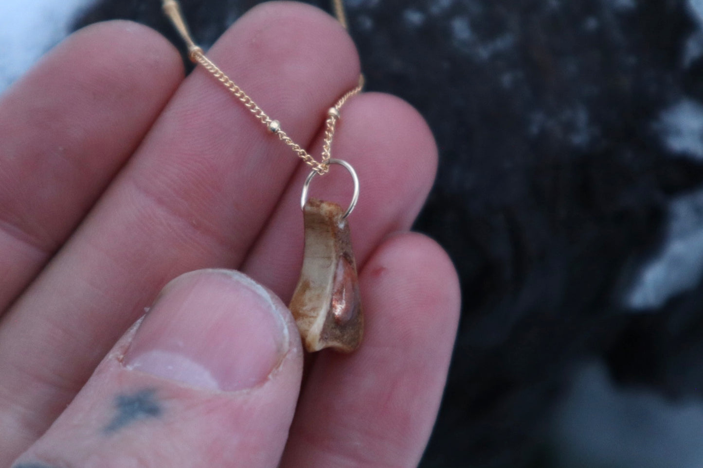 Reserved for Cal - 14k Gold Red Fox Tibia and Sunstone Necklaces