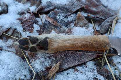 Coyote Paw Knife