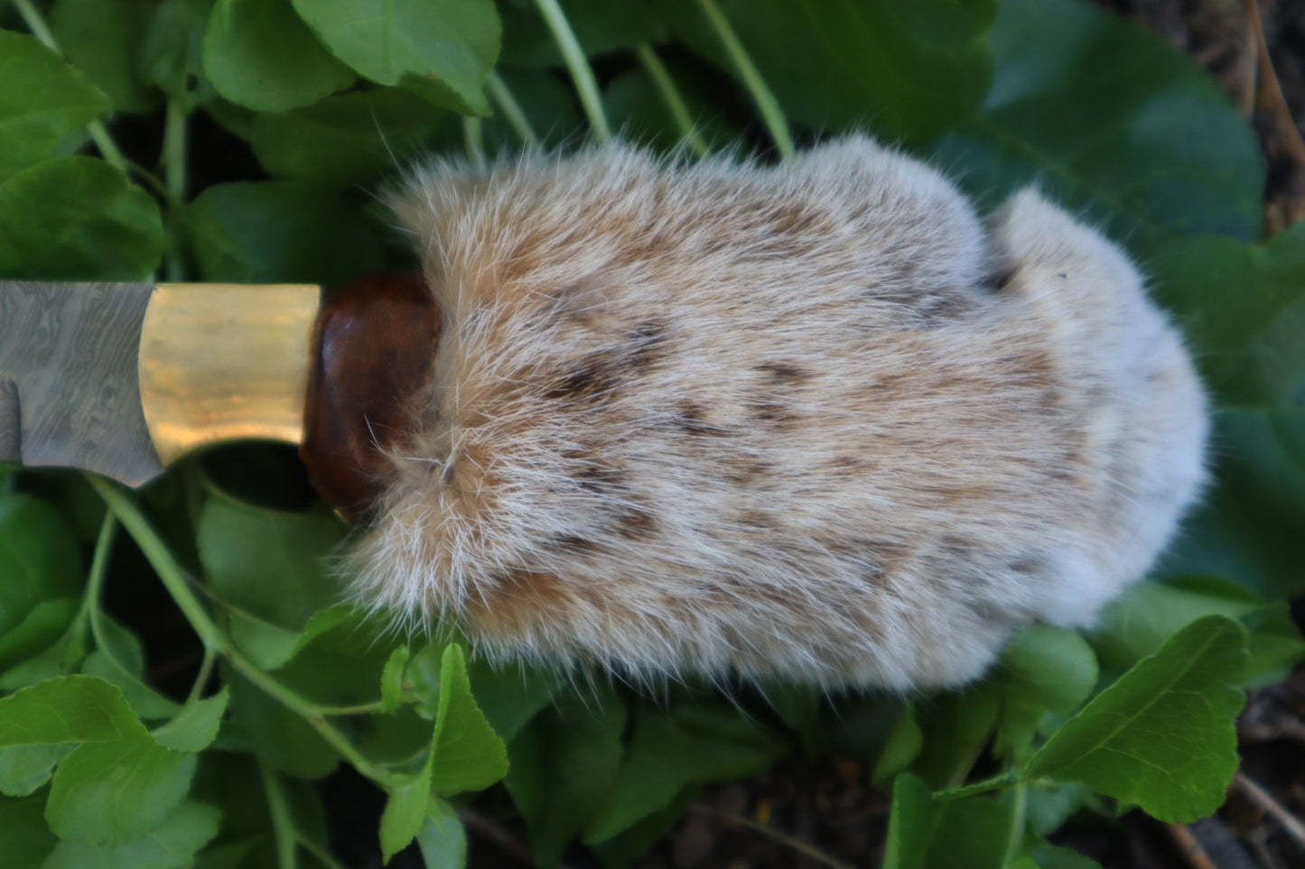 Reserved for Ryan Conner - Custom Damascus Bobcat Paw Knife with Leather Sheath