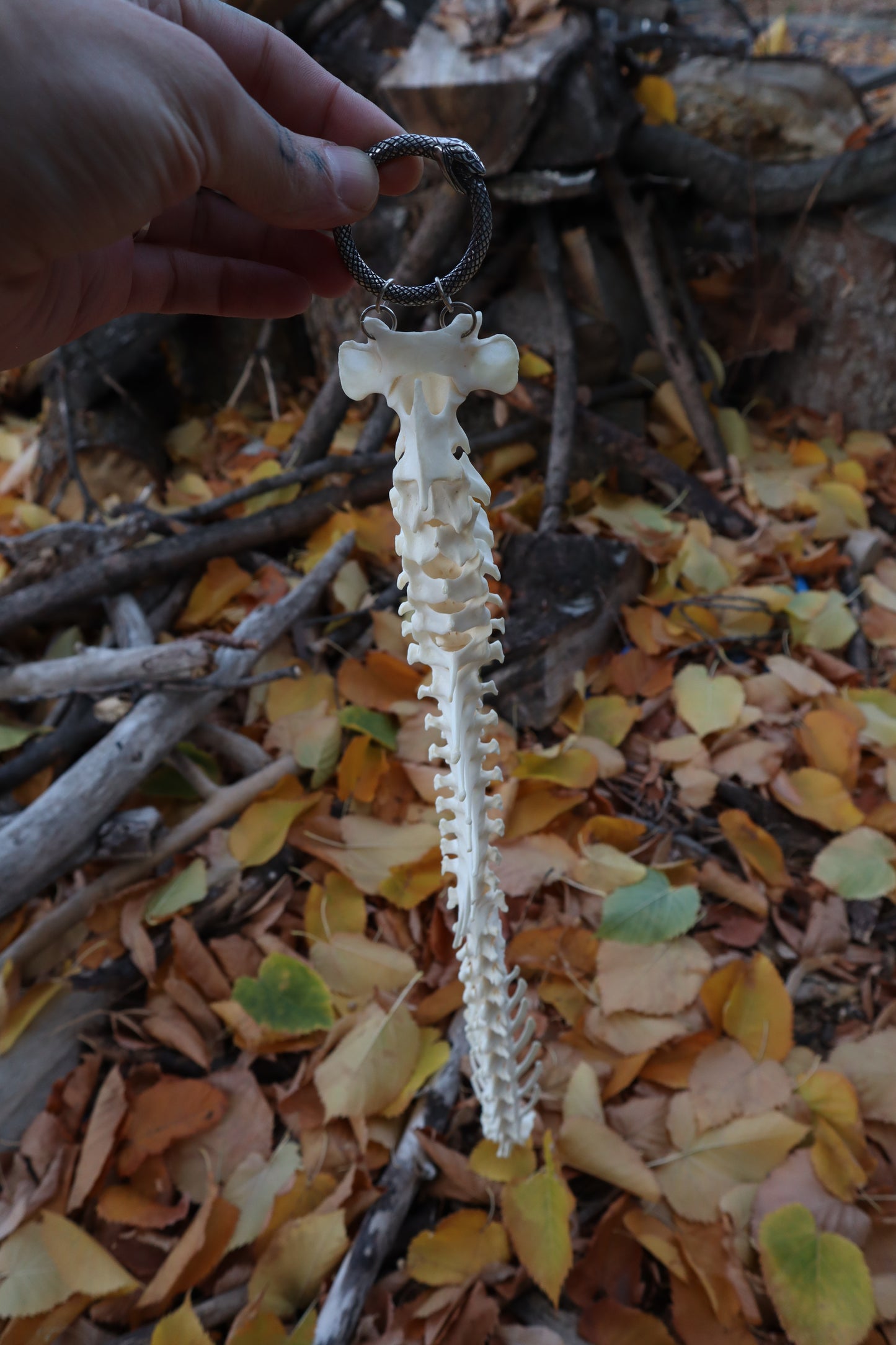 Reserved for Devyn - Bobcat Spinal Column Articulation