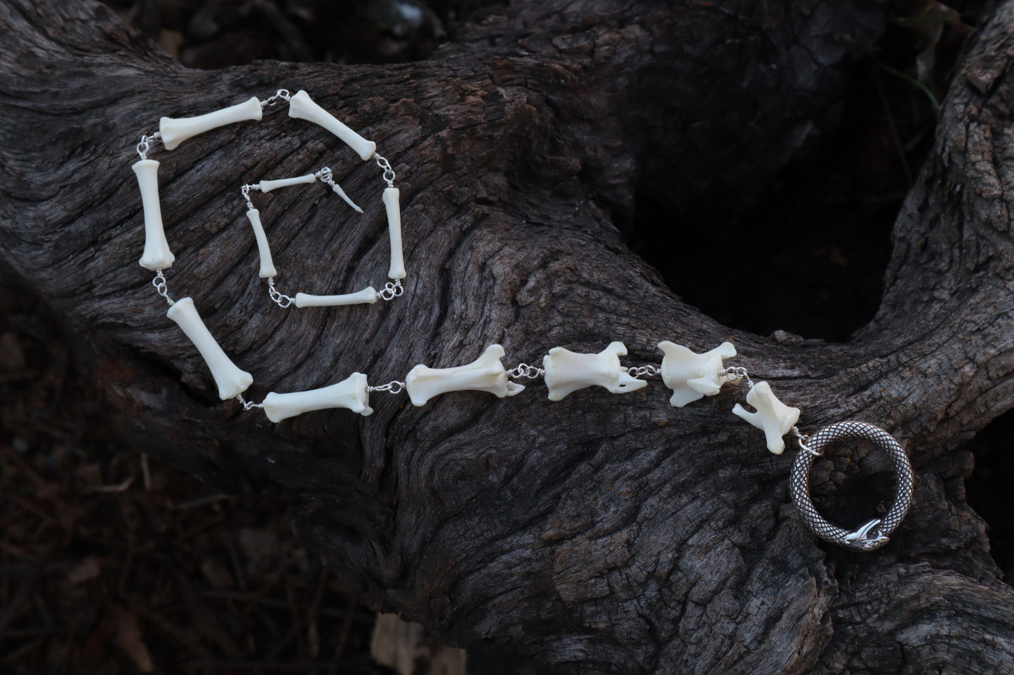 Fluid Coyote Tail Articulation with Ouroboros Ring