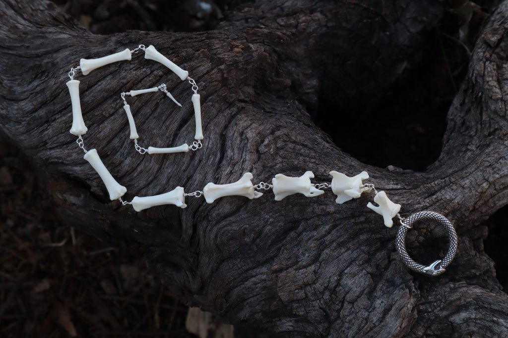 Fluid Coyote Tail Articulation with Ouroboros Ring