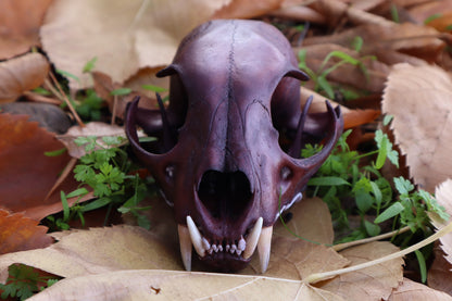 Reserved for Kristina - Naturally Stained Alaskan Lynx Skull