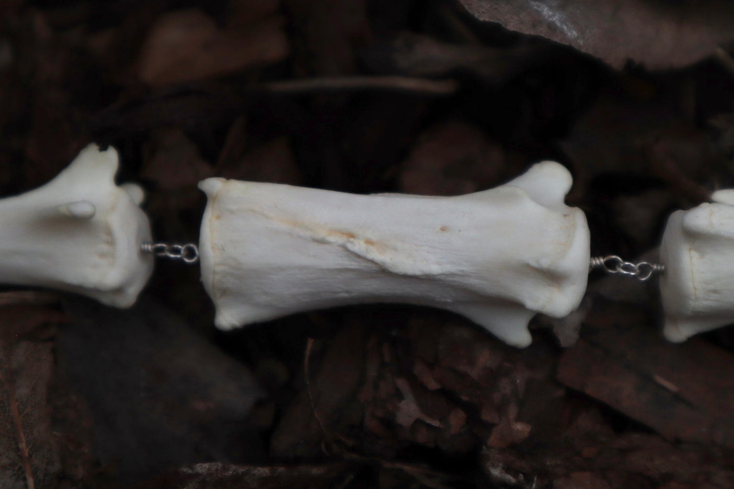 Pathological Fluid Mountain Lion Tail Articulation with Ouroboros Ring