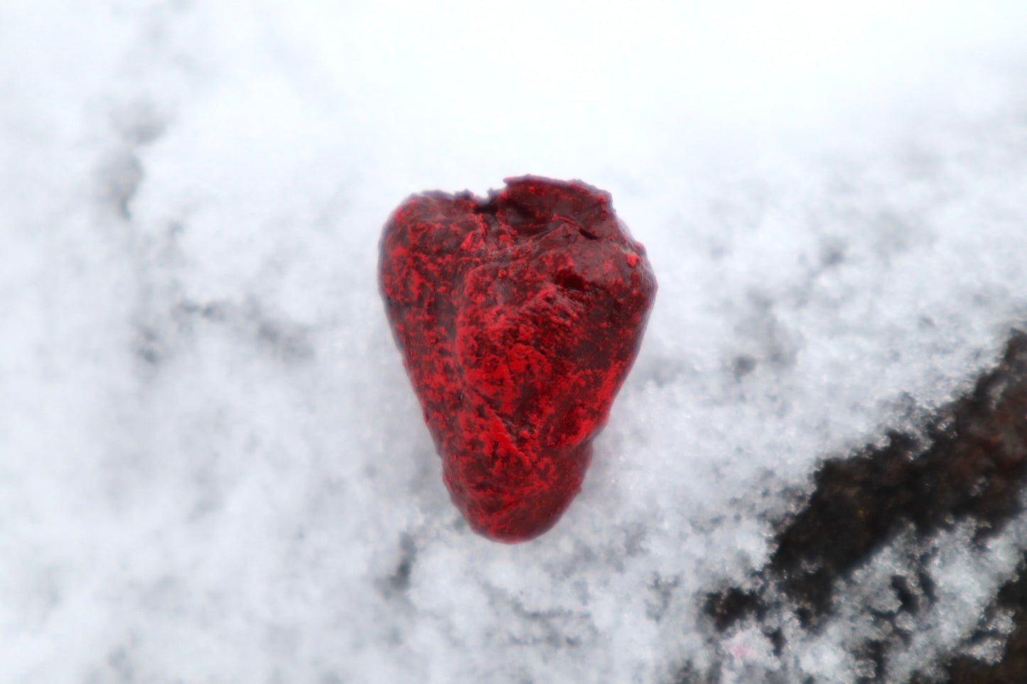 Dry Preserved Chicken Heart