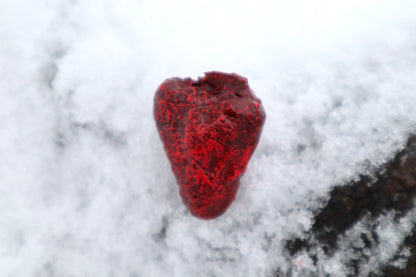 Dry Preserved Chicken Heart