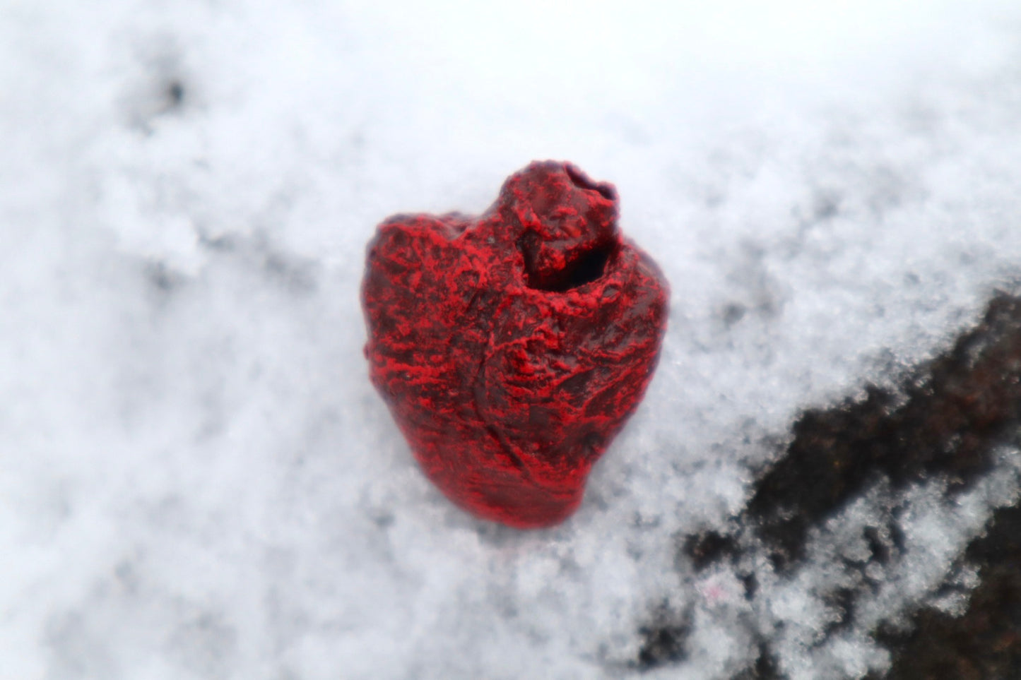 Dry Preserved Chicken Heart