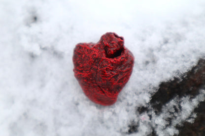 Dry Preserved Chicken Heart