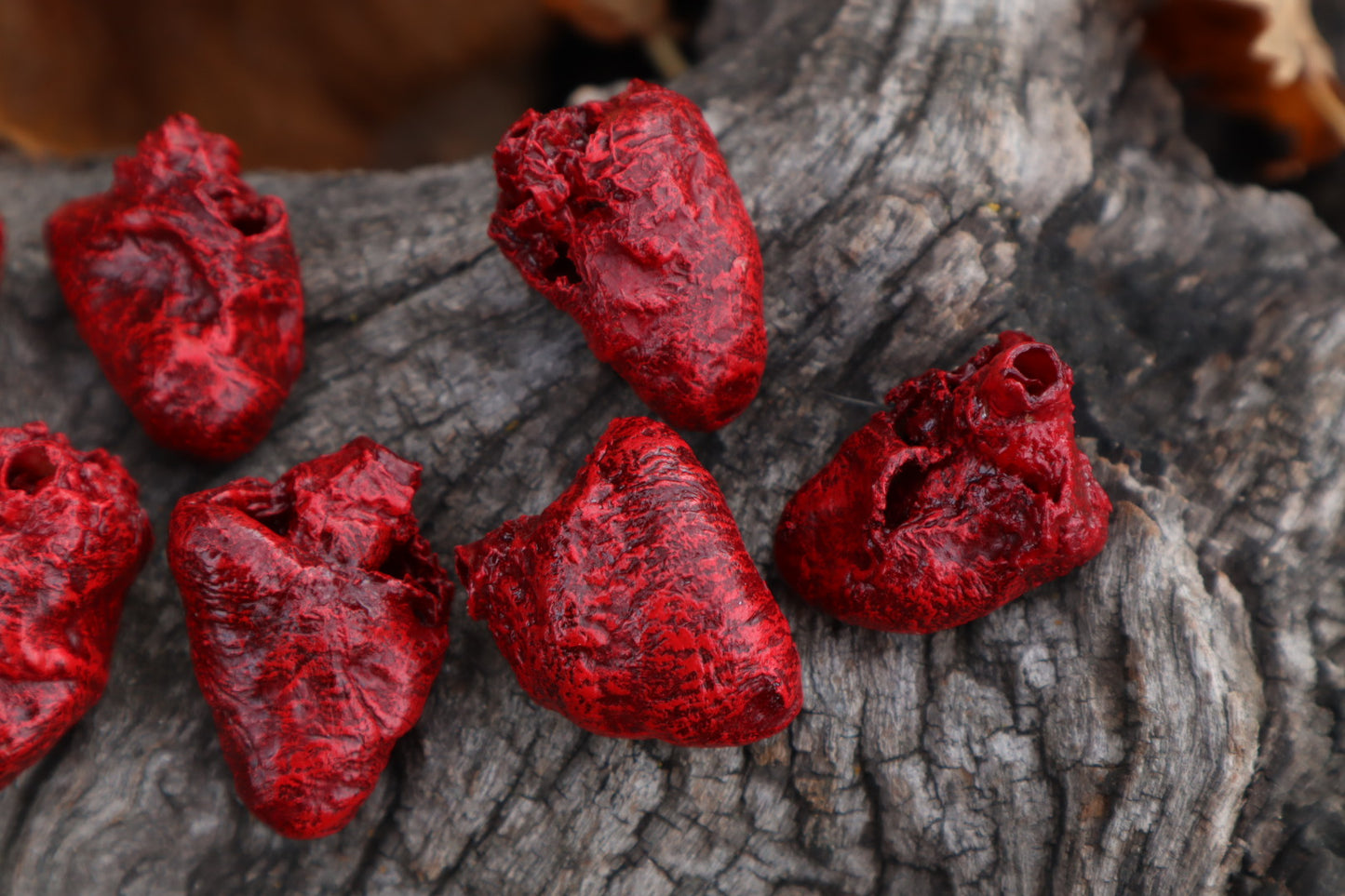 Dry Preserved Chicken Heart