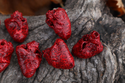Dry Preserved Chicken Heart