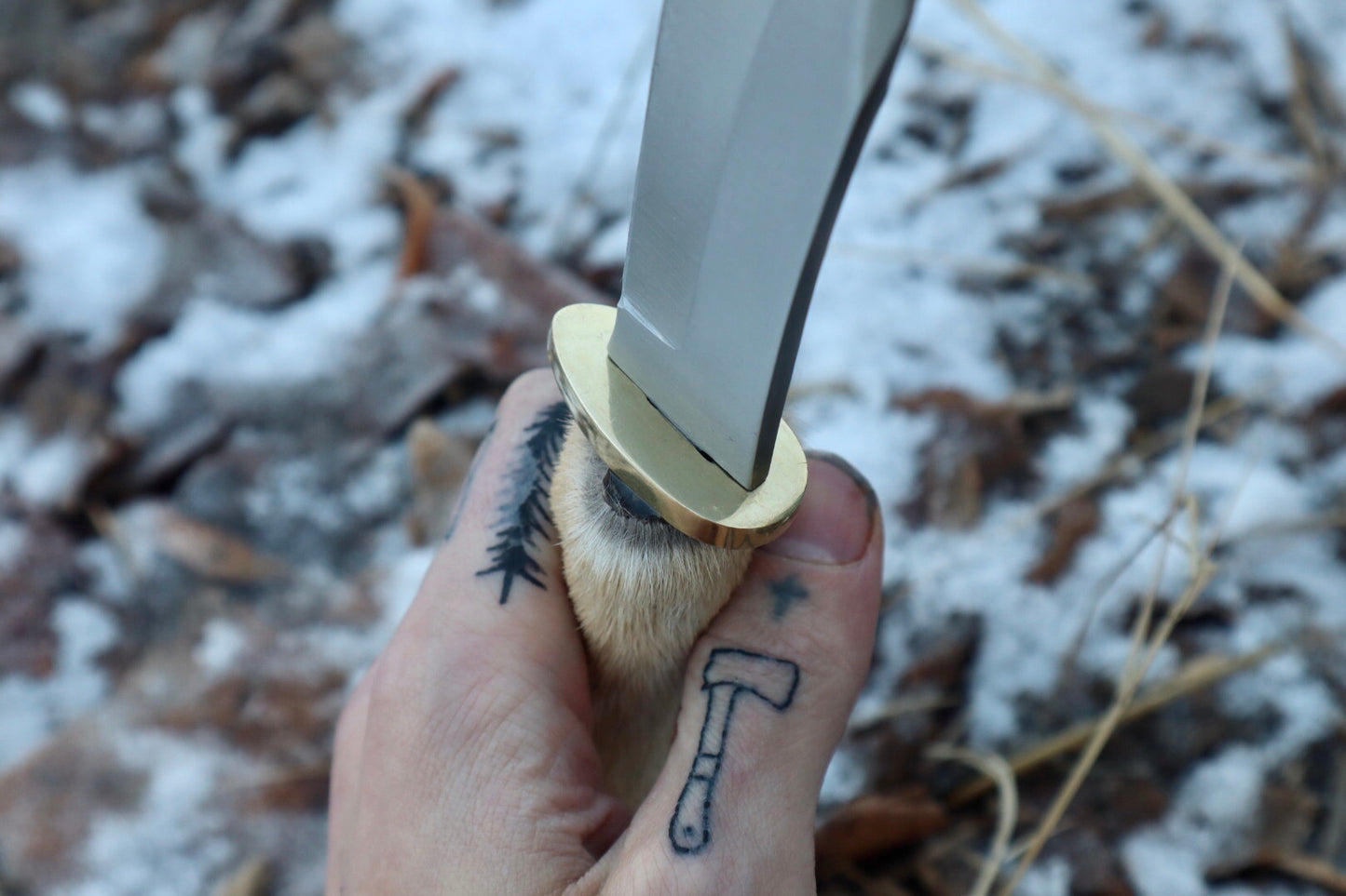 Coyote Paw Knife