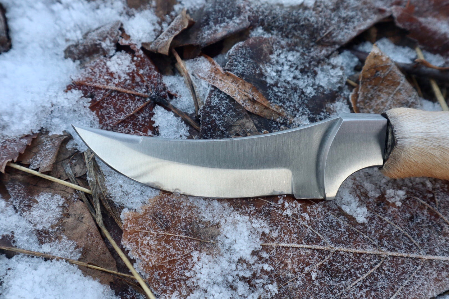 Coyote Paw Knife