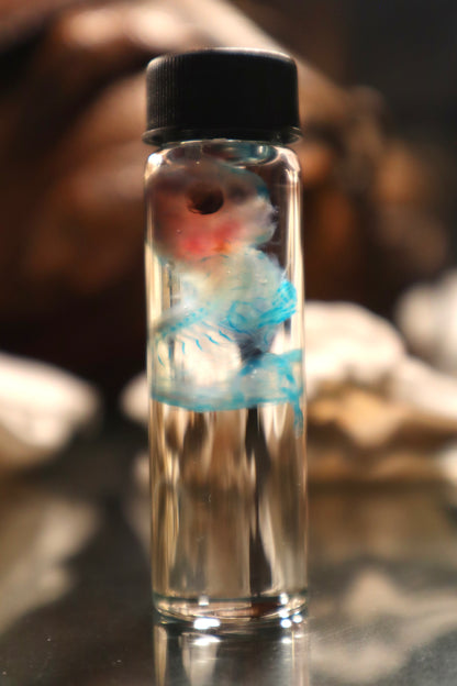Diaphonized Fetal Cottontail Rabbit