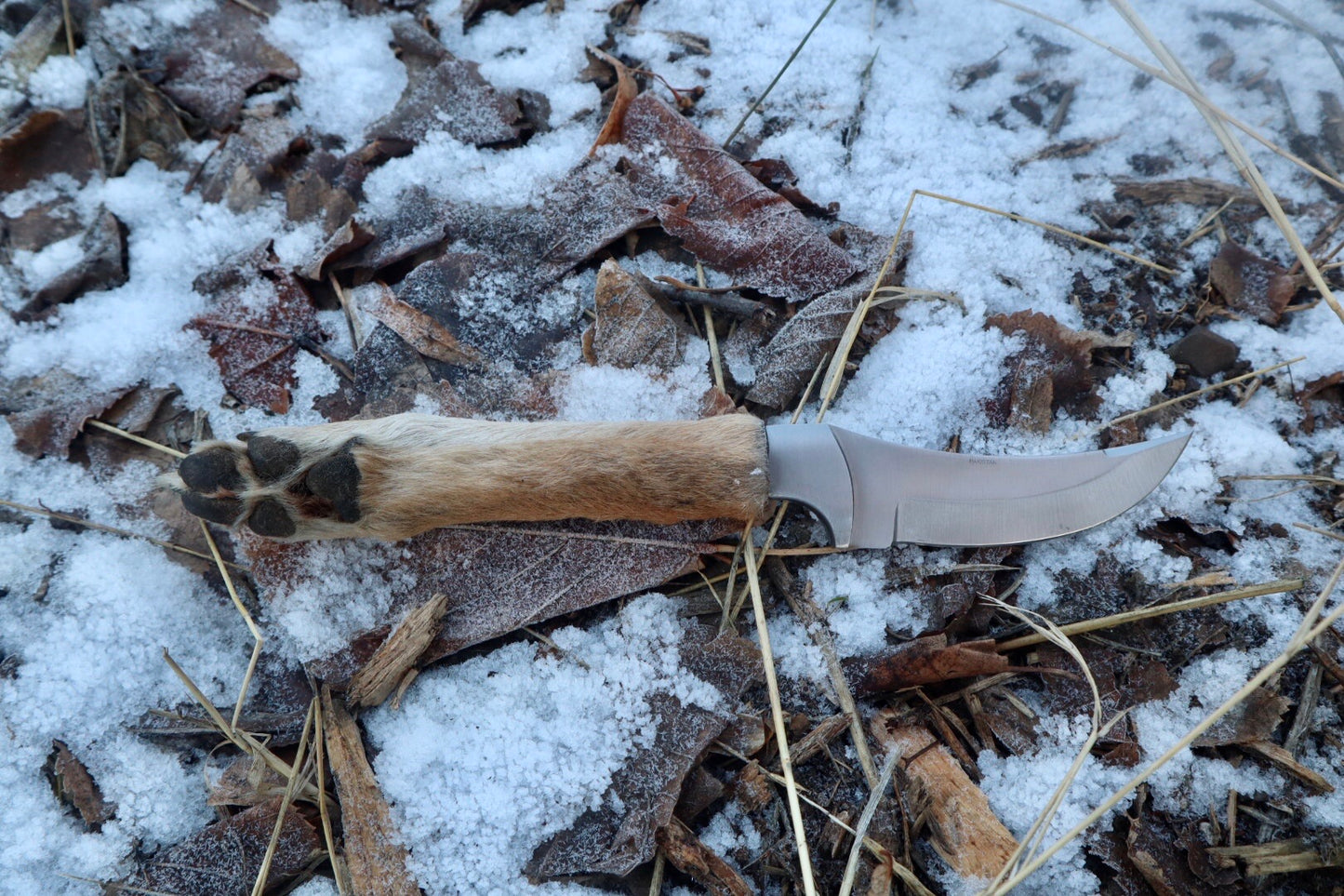 Coyote Paw Knife