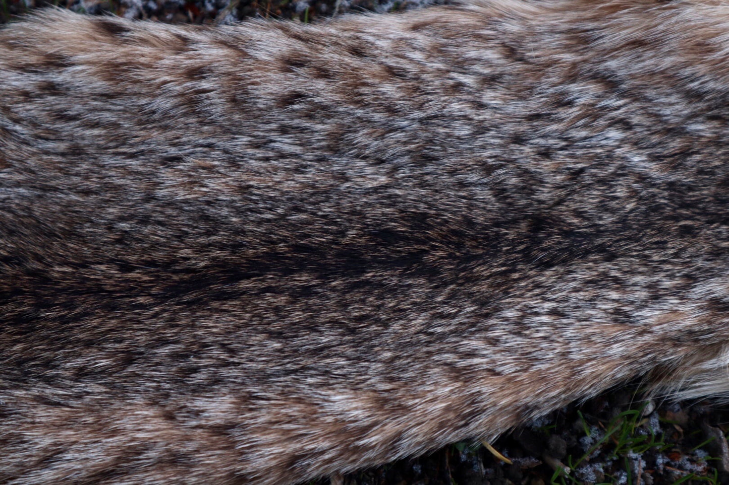 Bobcat Wallhanger