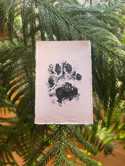 Bobcat Paw Print
