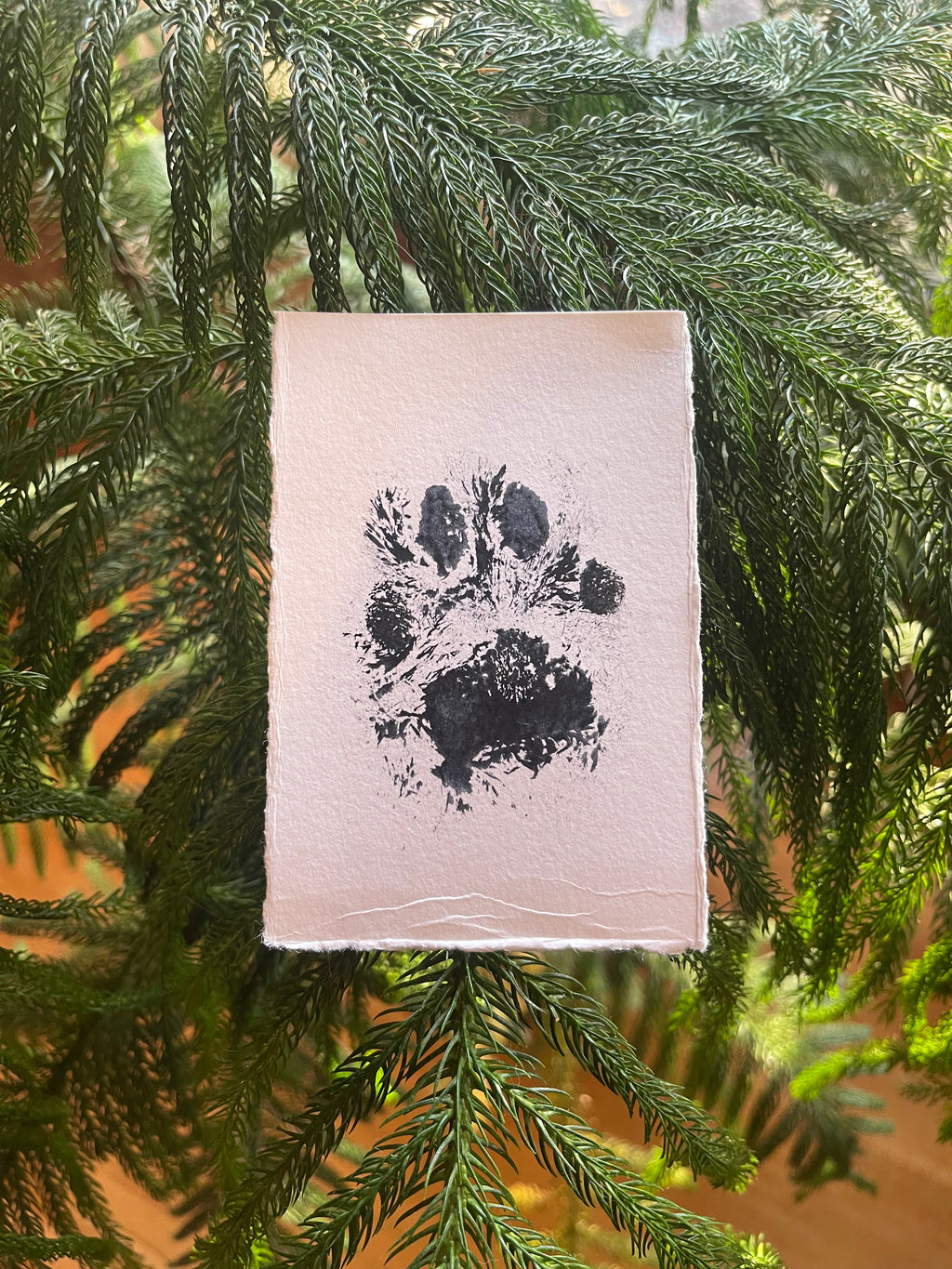 Bobcat Paw Print