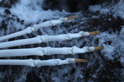 Bobcat Paw Articulation