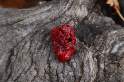Dry Preserved Chicken Heart