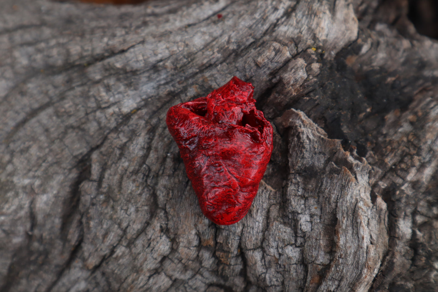 Dry Preserved Chicken Heart