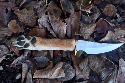 Coyote Paw Knife