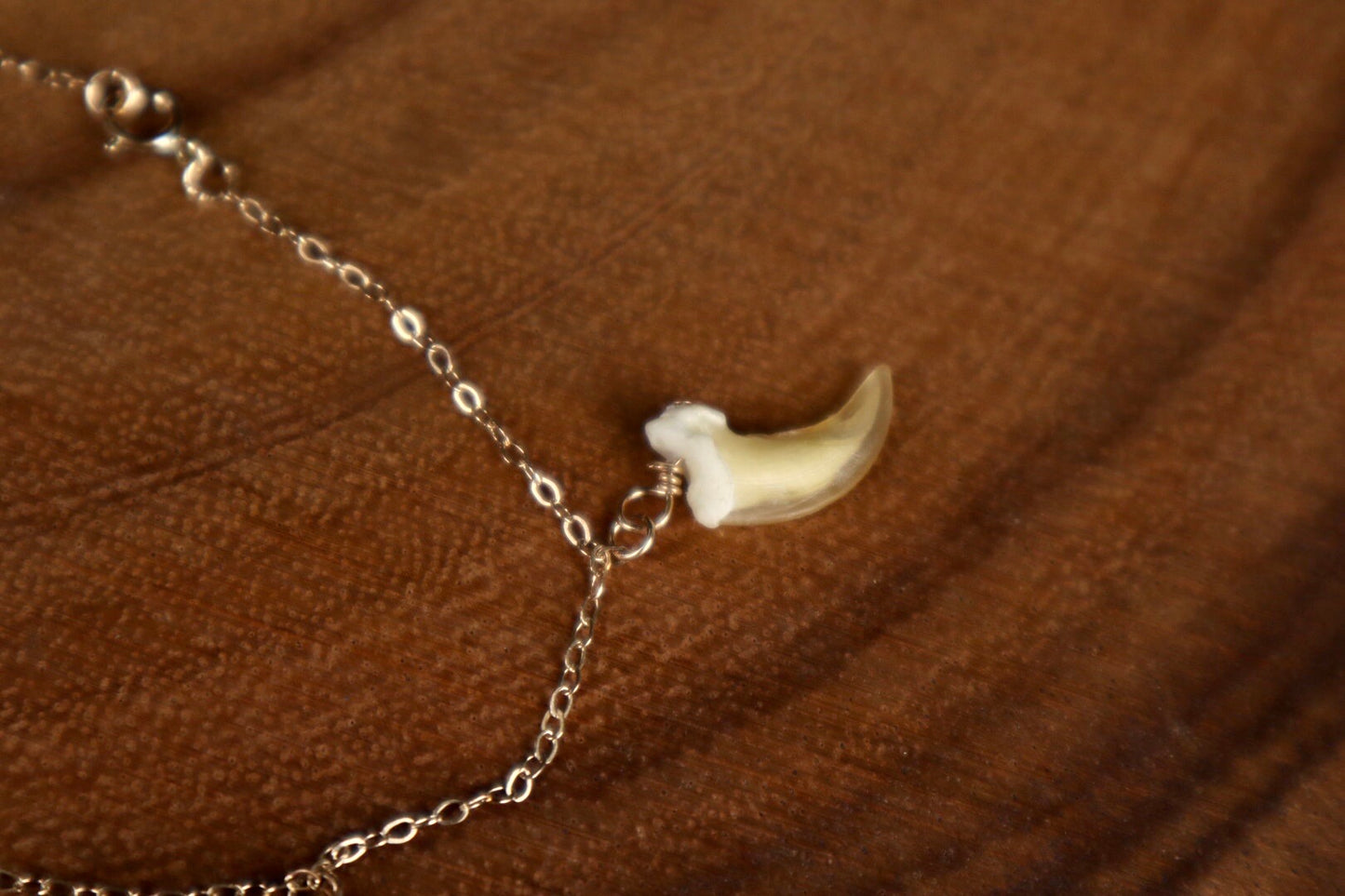 Red Fox Regalia 14k Gold Bracelet