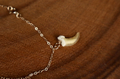 Red Fox Regalia 14k Gold Bracelet