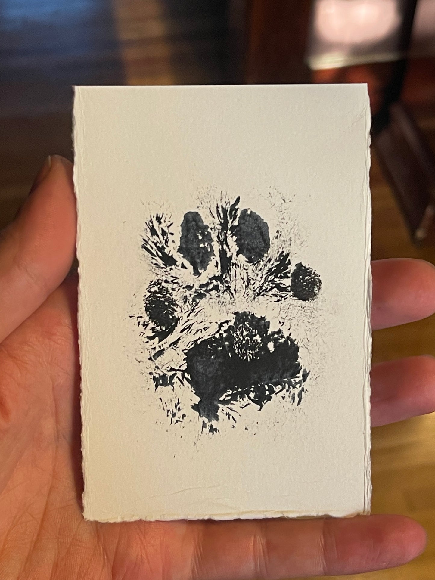 Bobcat Paw Print