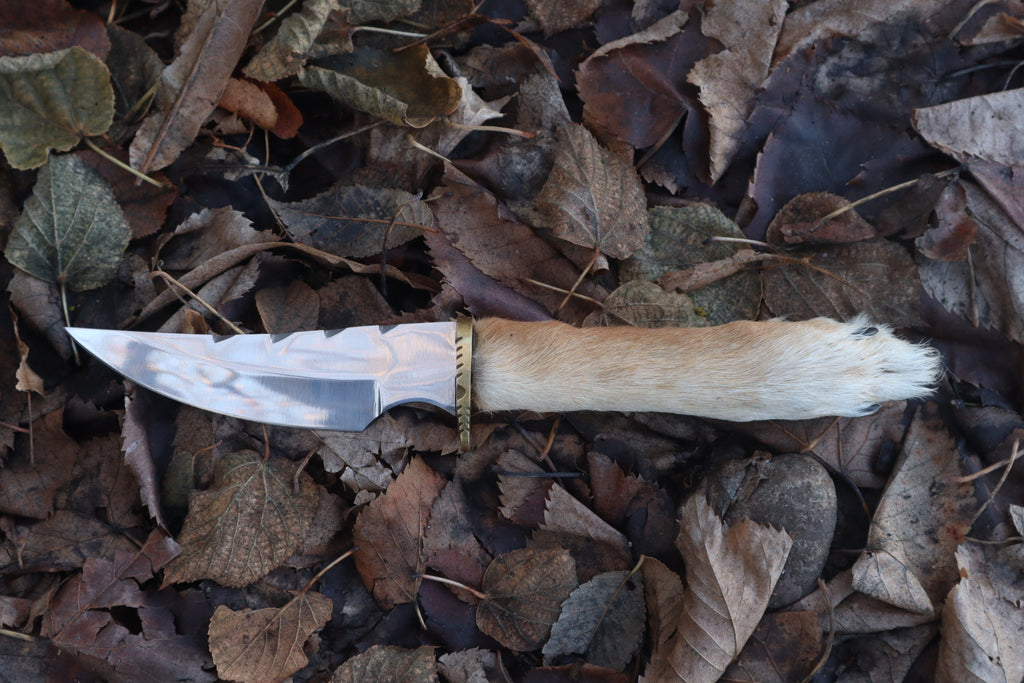 Coyote Paw Knife