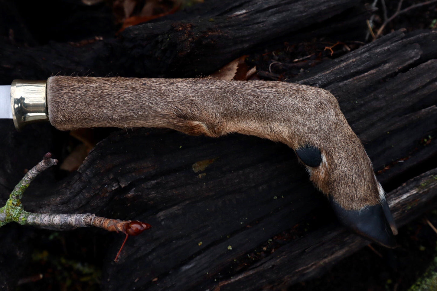 Whitetail Deer Hoof Hatchet