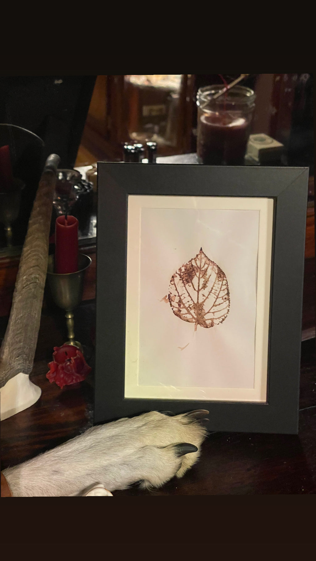 Reserved for Ash - Gray Wolf Blood Bass Wood Leaf Print