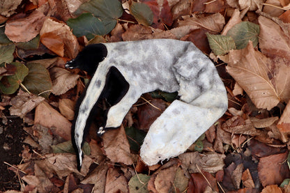 Black Mink Lifesize Pelt