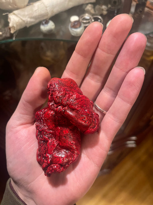 Reserved for Brandon - Dry Preserved Gray Wolf Kidneys