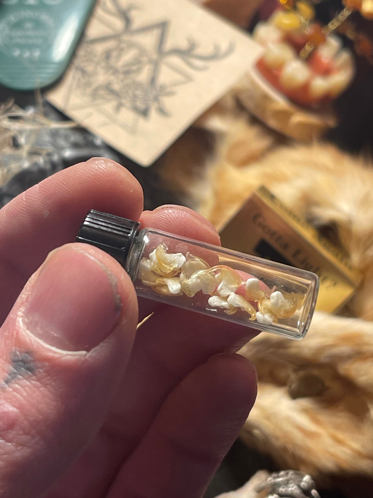 Reserved for Licorice_Loaf - Kitten Claws in a Glass Jar