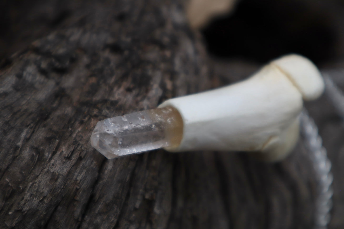 Whitetail Fawn Femur Pendulum with Ouroboros Ring