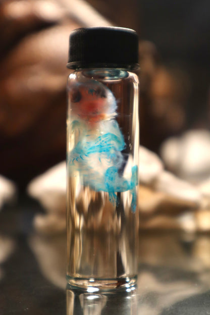 Diaphonized Fetal Cottontail Rabbit