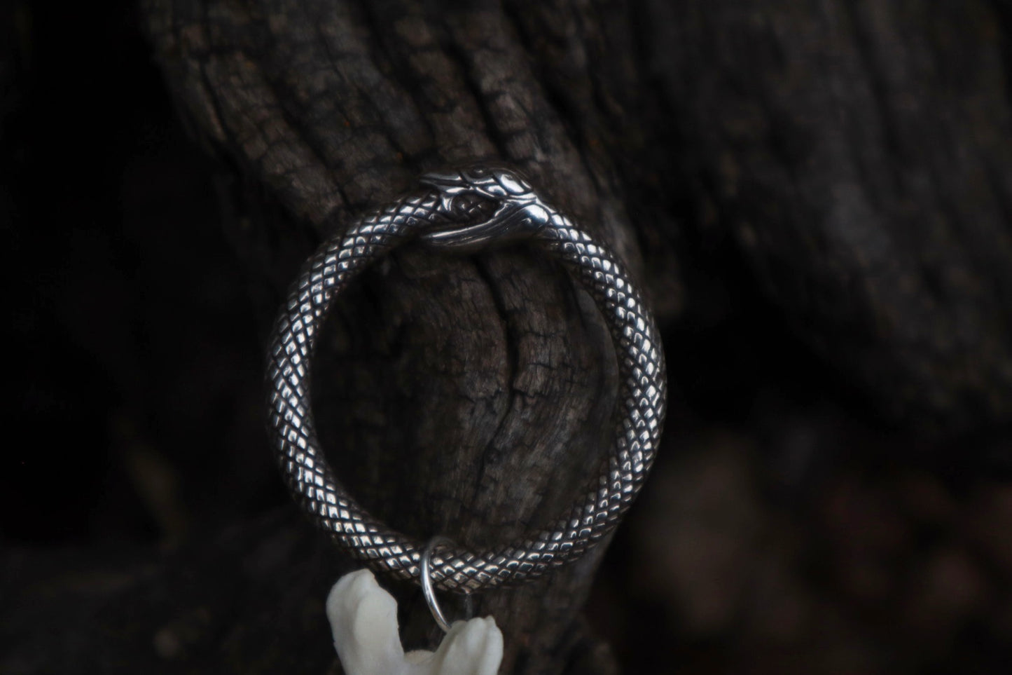 Fluid Gray Wolf Tail Articulation with Ouroboros Ring