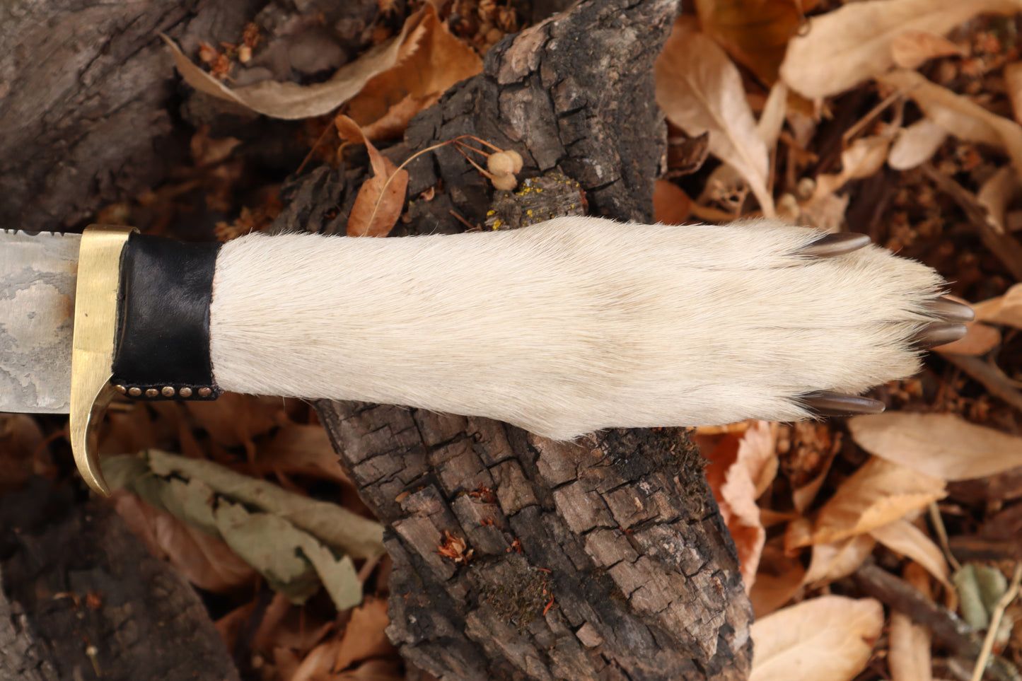 Reserved for Devyn - Damascus Gray Wolf Paw Knife with Flaming Sheath