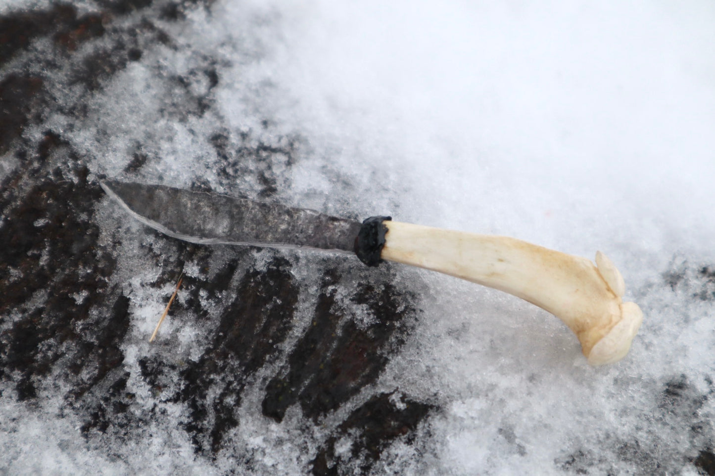 Reserved for Antoinette - Kitten Tibia Knife