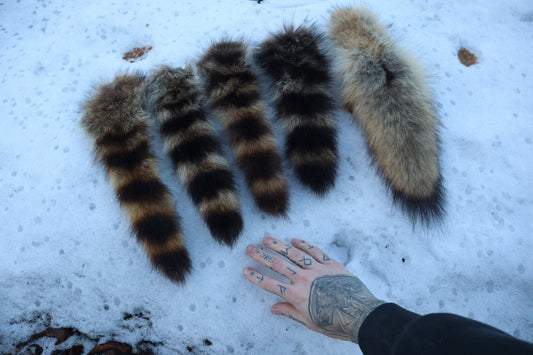 Reserved for Sammy - Coyote Tail and Raccoon Tail