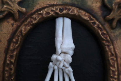 Raccoon Paw Articulation with Crystal Ball