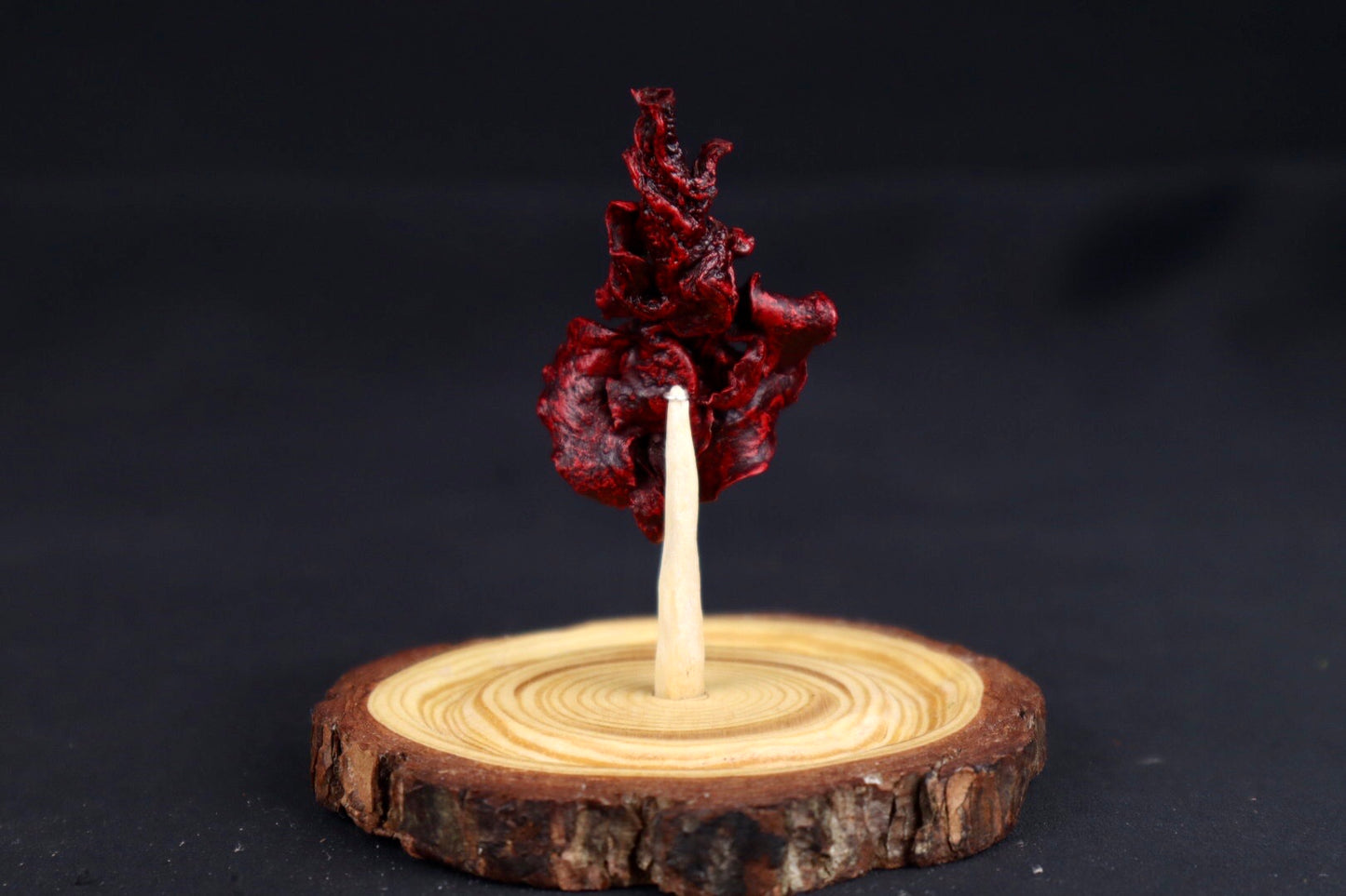 Dry Preserved Kitten Lungs in Glass Dome