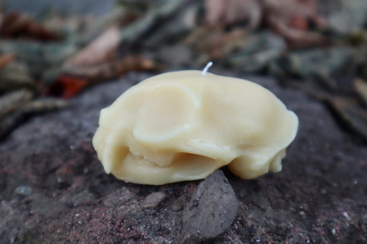 Cat Skull Candle - Natural Beeswax