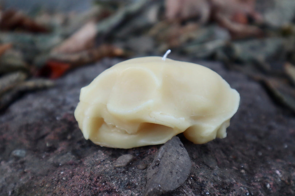 Cat Skull Candle - Natural Beeswax