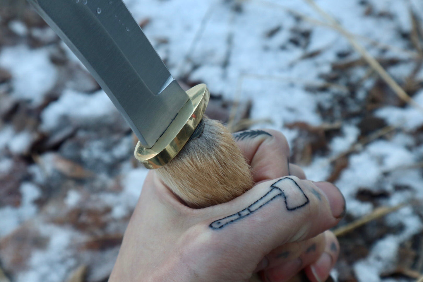 Coyote Paw Knife